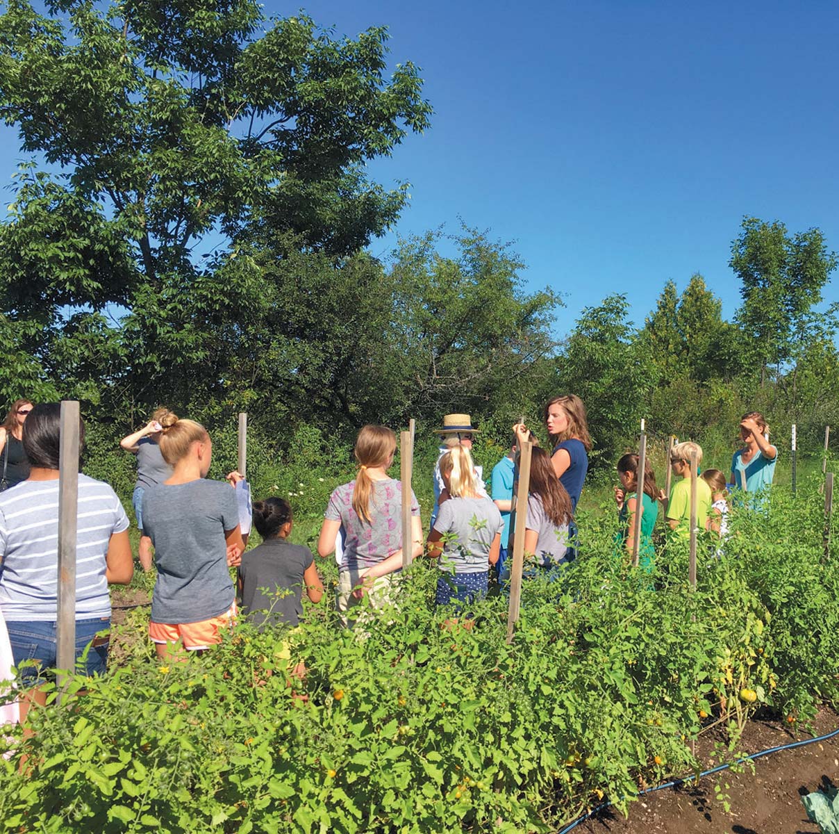 Kids cooking school experience includes farm and gardens