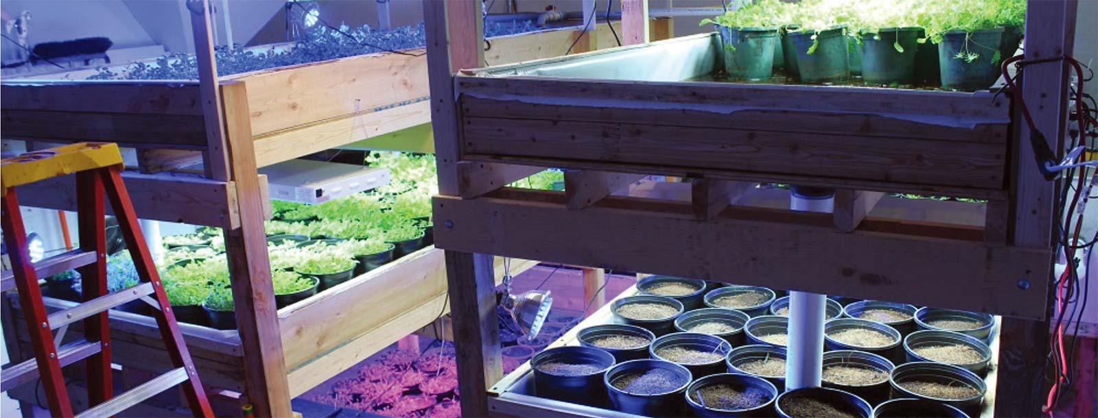 A soil-based aquaponics system is being used at The Farmory, a non-profi t operation housed in the old Green Bay Armory that is working to create sustainable, indoor year-round farming. Contributed photo