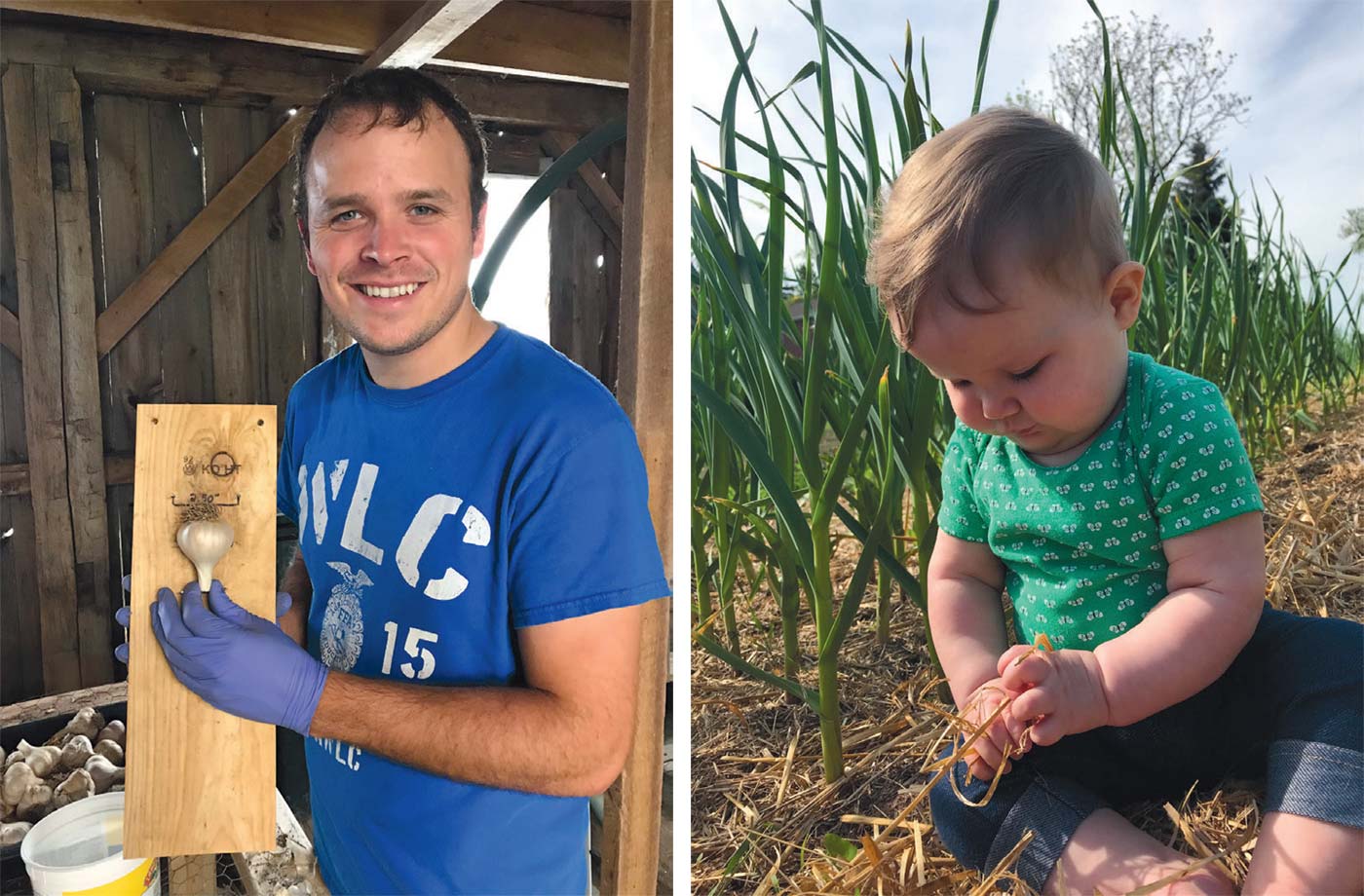 LEFT: Brian Guza with the tool he invented to measure the width of each bulb. If the bulb is 2 inches or more in diameter, that’s considered seed garlic (or planting garlic). Anything less than 2 inches is for eating. RIGHT: Daughter Mary in the garlic field.