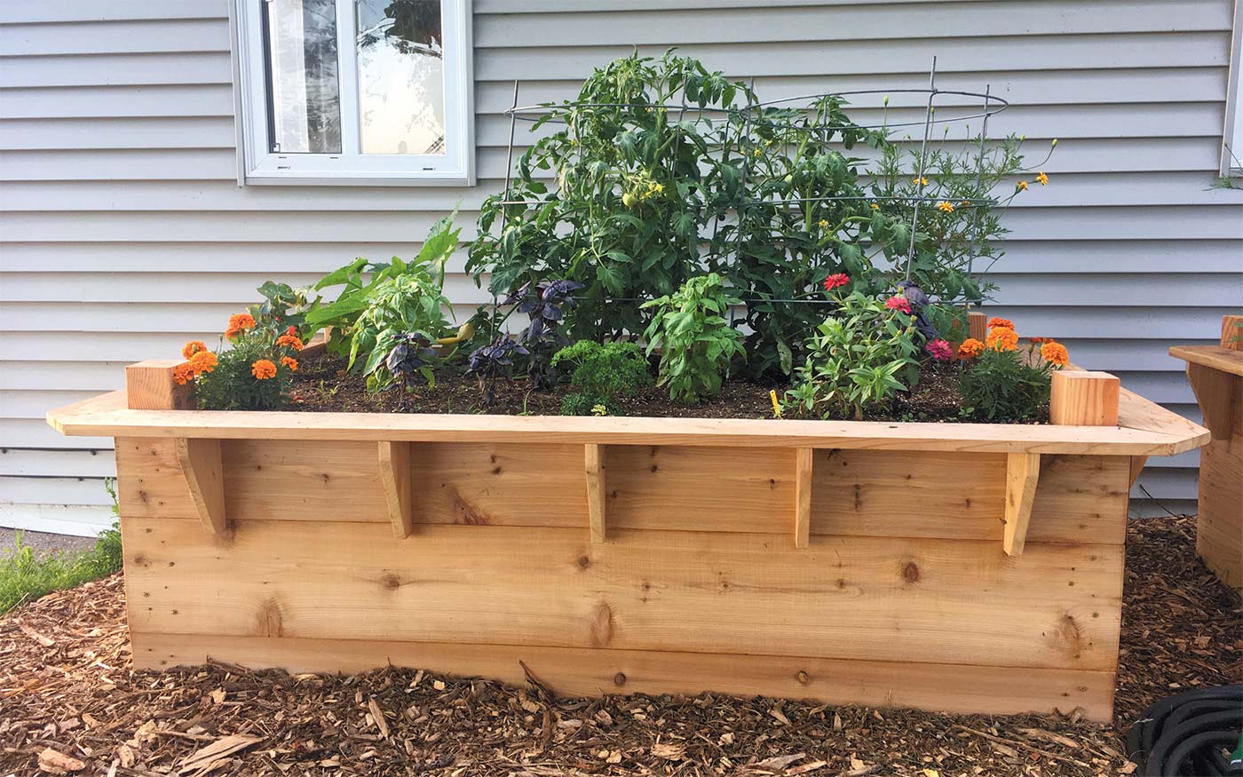 raised planter bed
