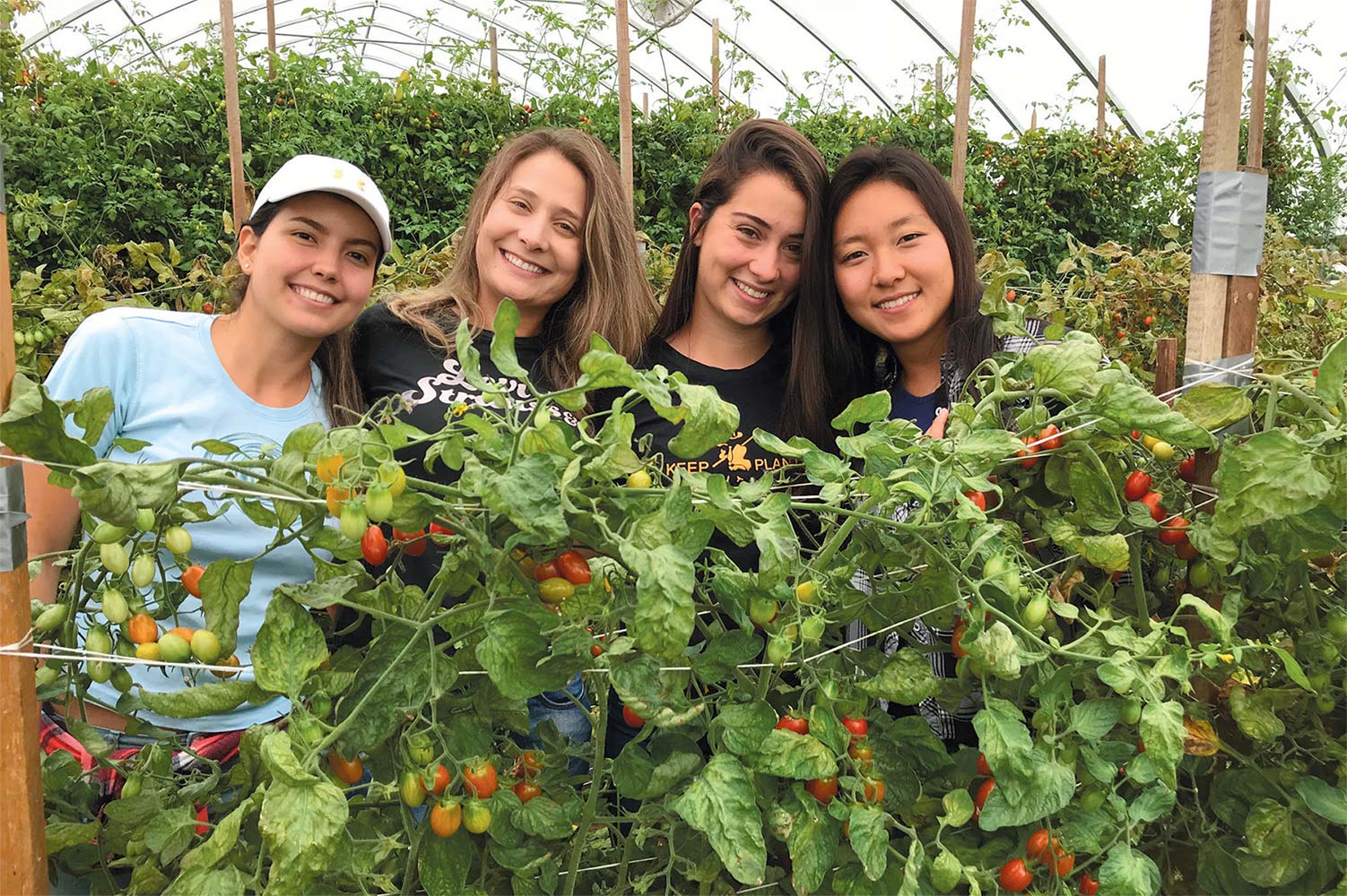 These four ladies from South America are working at Sully’s Produce this summer on a J-1 Exchange program. From left, Nathalia Gutierrez, Naiara Sousa, Isabella Vieira and Natasha Umezu.