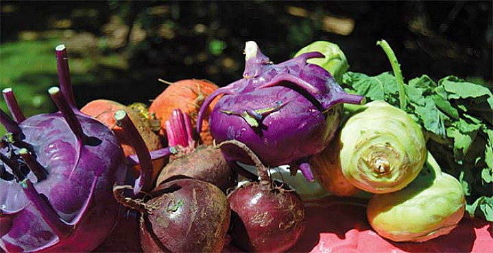 Various Root Vegetables