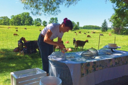 Apprentice cheesemaker Natalie Ihde preparing a cheese-tasting at The Door County Creamery's farm. Contributed photo