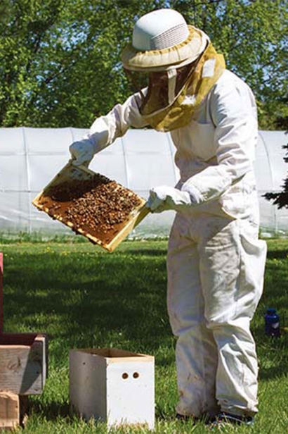 gardens have a ten-hive apiary