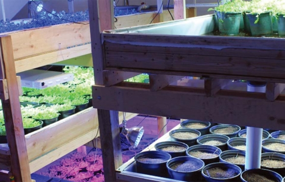 A soil-based aquaponics system is being used at The Farmory, a non-profi t operation housed in the old Green Bay Armory that is working to create sustainable, indoor year-round farming. Contributed photo