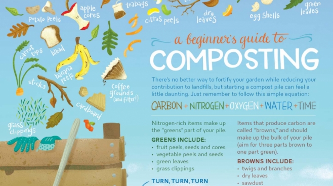 Beginners Guide to Composting