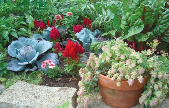 Green Bay Botanical Garden - Foodscape