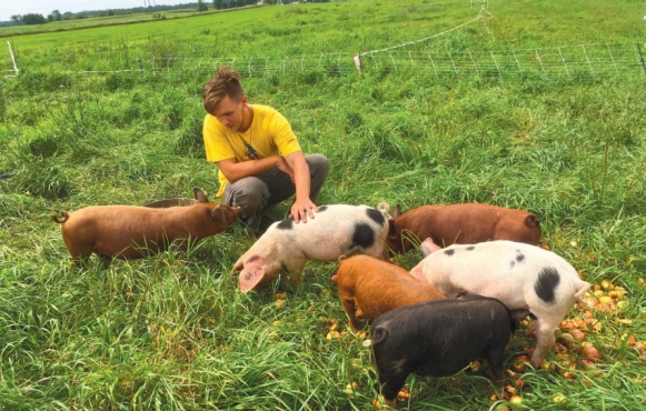 Andrew Adamski and his pastured heritage pigs. Contributed photo