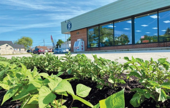Exterior of The Healthy Way Market with a budding garden. 