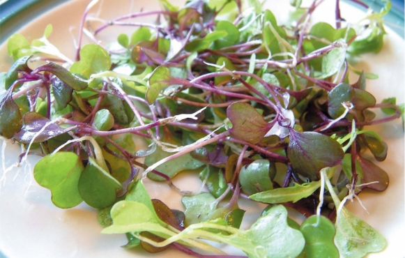 microgreens