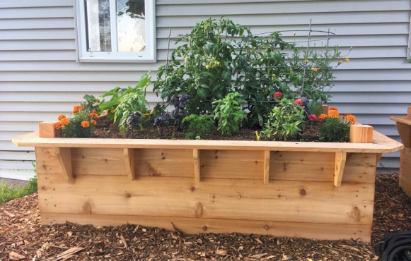 raised planter bed