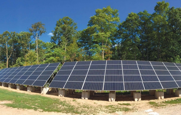 Last summer, Waseda Farms in Baileys Harbor added a solar-power system. The cows, pigs and chickens share the pastures at the progressive Door County farm with over 140 solar panels. Contributed photo